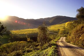 Agriturismo Colognole