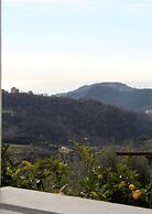 Casa Vacanze Tra Gli Ulivi