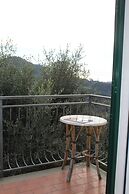 Casa Vacanze Tra Gli Ulivi