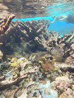 Blue Marlin Beach Resort