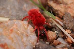 Goibib Mountain Lodge