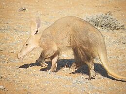 Goibib Mountain Lodge