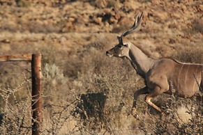 Goibib Mountain Lodge