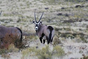 Goibib Mountain Lodge