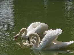 Hotel Landhuis ' T Wilgenerf