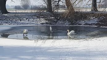 Hotel Landhuis ' T Wilgenerf