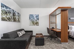SpringHill Suites by Marriott Chattanooga Downtown/Cameron Harbor