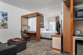 SpringHill Suites by Marriott Chattanooga Downtown/Cameron Harbor
