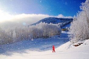 Sheraton Changbaishan Resort