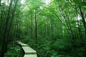 Sheraton Changbaishan Resort