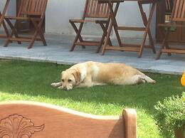 Il Casale del Giglio