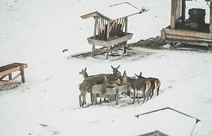 Schloss Mittersill Hotel