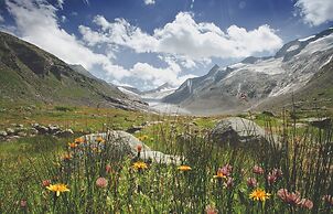 Schloss Mittersill Hotel