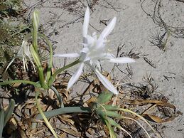 Residence Marina Palace