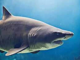 Villiana Holiday Apartments