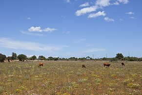 Agroturisme Na Martina