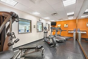 Comfort Inn & Suites Dover