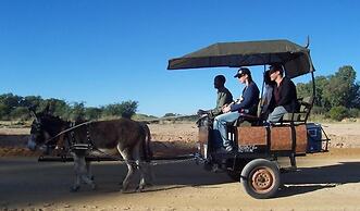 Kashana Namibia