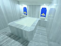 Holiday Inn Ankara - Kavaklidere by IHG