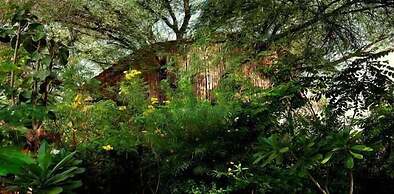 The Tree House Resort