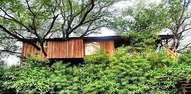 The Tree House Resort