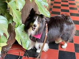 Hotel Museo Mayan Inn de Guatemala