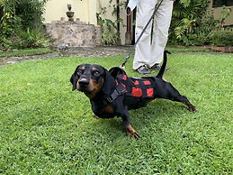 Hotel Museo Mayan Inn de Guatemala