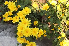 Gyeongju Tavo Guesthouse