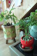 Gyeongju Tavo Guesthouse