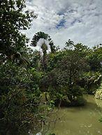 Sepilok Jungle Resort