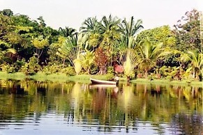 Sepilok Jungle Resort