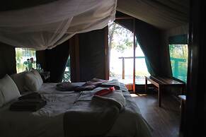 Ndhovu Safari Lodge - Campground