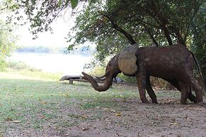 Ndhovu Safari Lodge - Campground