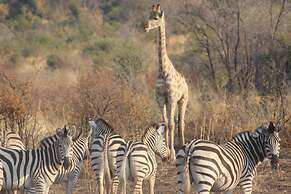 Ndhovu Safari Lodge - Campground