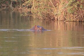 Ndhovu Safari Lodge - Campground