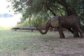 Ndhovu Safari Lodge - Campground