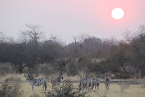 Ndhovu Safari Lodge - Campground