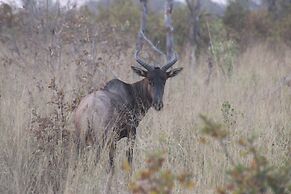Ndhovu Safari Lodge - Campground
