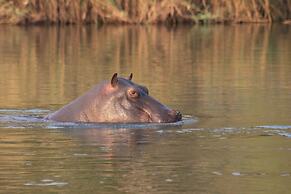Ndhovu Safari Lodge - Campground