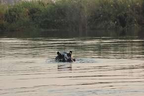 Ndhovu Safari Lodge - Campground