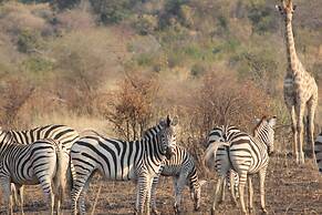 Ndhovu Safari Lodge - Campground