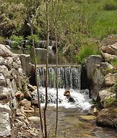 Moinhos da Tia Antoninha