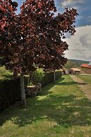 Moinhos da Tia Antoninha