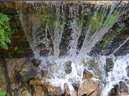 Moinhos da Tia Antoninha