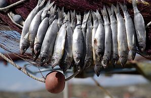 Margarita Studios Ambelas