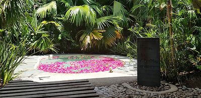 Ocean Vida Beach and Dive Resort