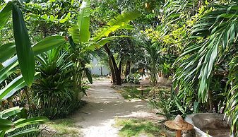 Ocean Vida Beach and Dive Resort