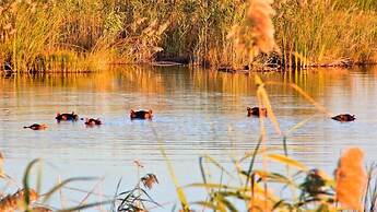 Nkasa Lupala Tented Lodge