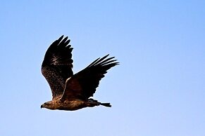 Nkasa Lupala Tented Lodge