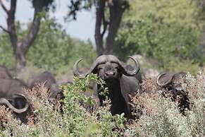 Nkasa Lupala Tented Lodge